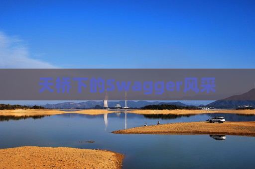 天桥下的Swagger风采
