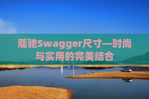 蔻驰Swagger尺寸—时尚与实用的完美结合